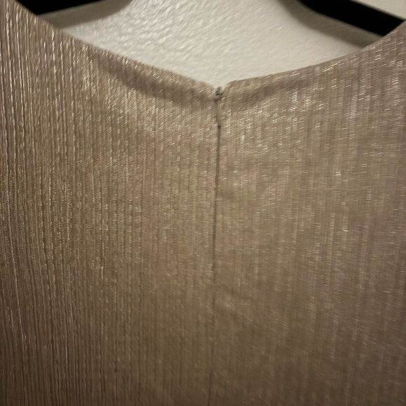 PatBO Silver Dress - Picture 6 of 10